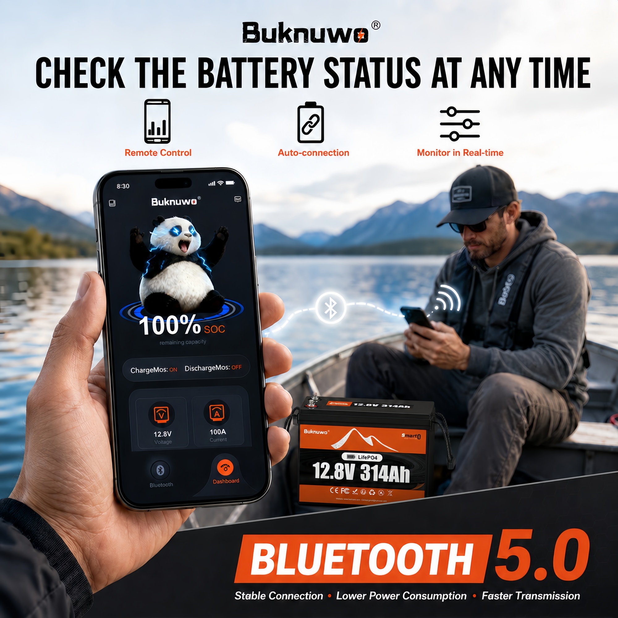 Smart 12V/12.8V 314Ah Bluetoot - đánh giá và giá Outdoor Power Supply 12V